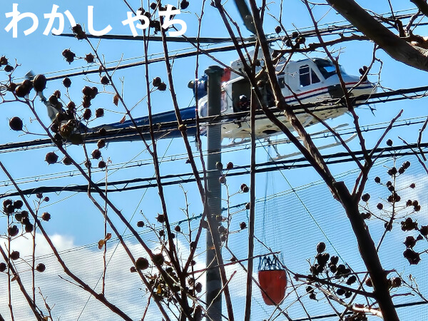 豊橋市で注文住宅・新築一戸建てを建てるなら自然素材・木の家の「伴工務店」