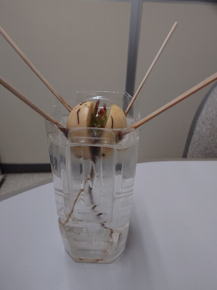 豊橋市で注文住宅・新築一戸建てを建てるなら自然素材・木の家の「伴工務店」