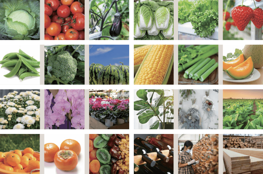 幅広い温度管理が可能な倉庫HOZONEの用途イメージ